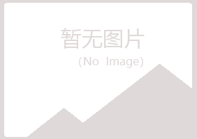 宝山区听露采矿有限公司